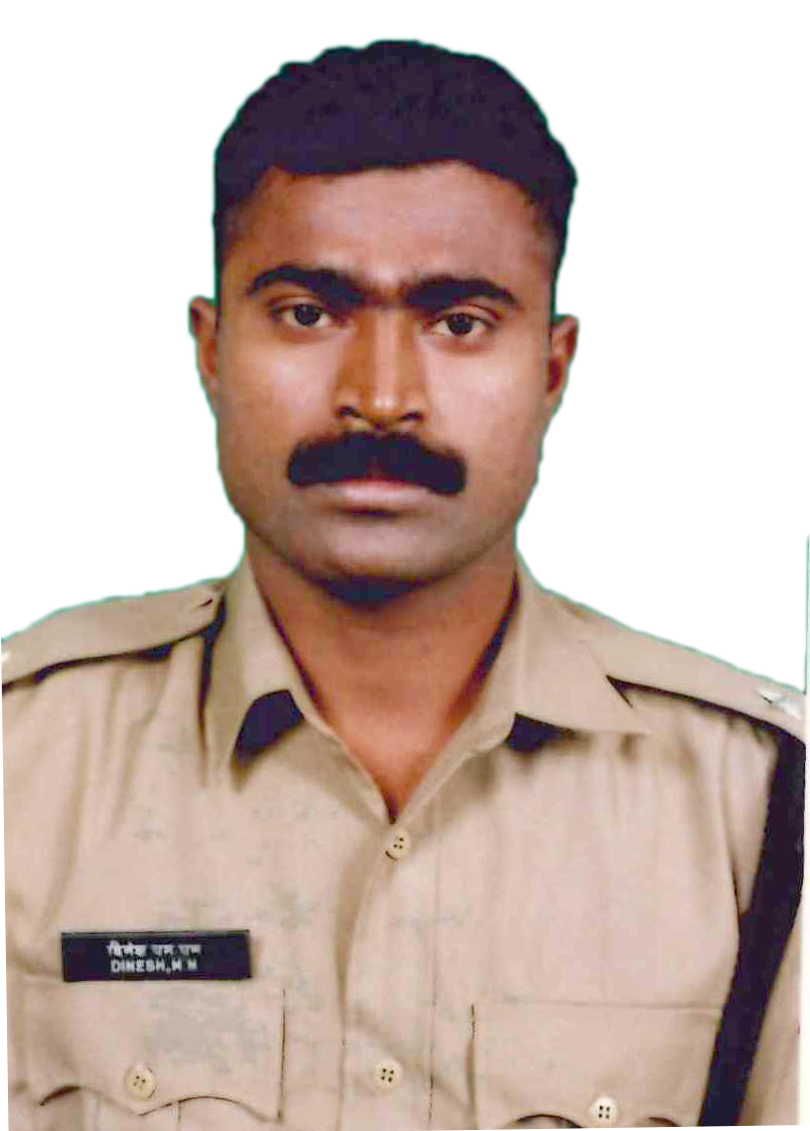 Dinesh M.N. 